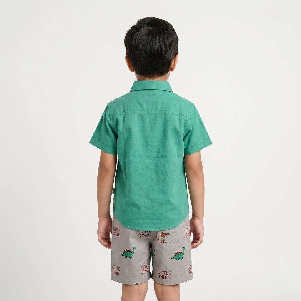 Little Dinosaur ShortSet