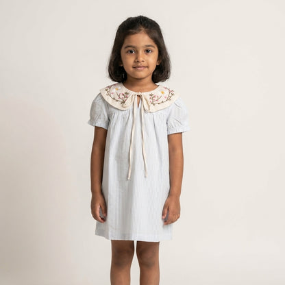 EmbroideryCollar Blue Stripe Dress