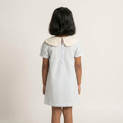 EmbroideryCollar Blue Stripe Dress
