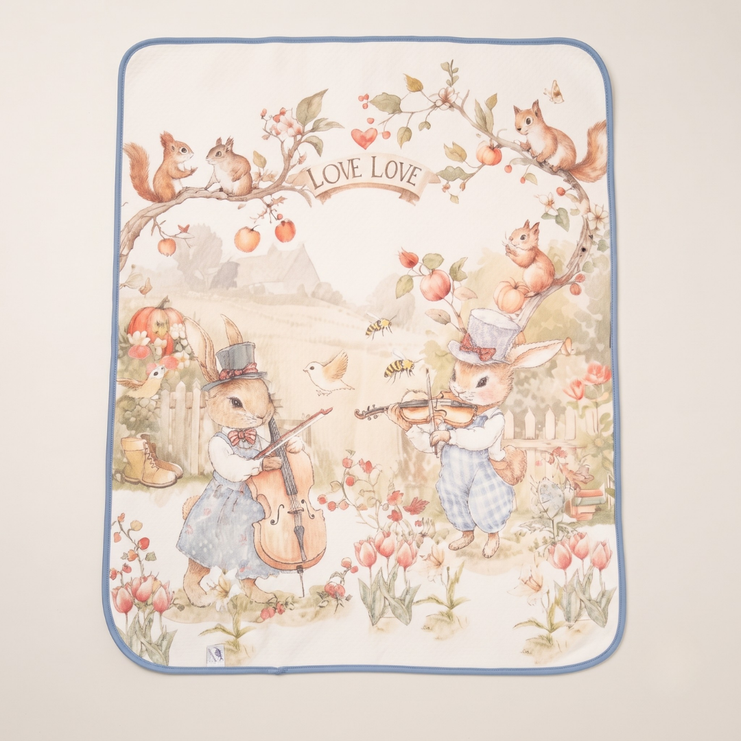 Drysheets Muslin